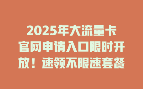 2025年大流量卡官网申请入口限时开放！速领不限速套餐