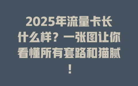 2025年流量卡长什么样？一张图让你看懂所有套路和猫腻！