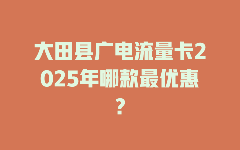 大田县广电流量卡2025年哪款最优惠？