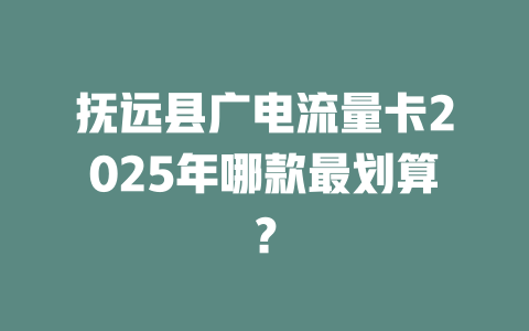 抚远县广电流量卡2025年哪款最划算？