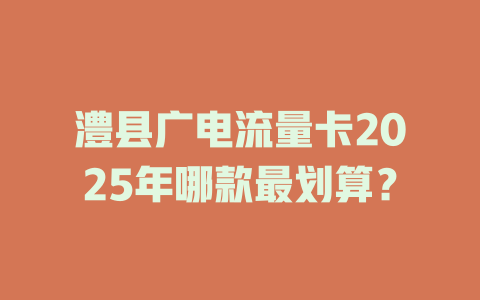 澧县广电流量卡2025年哪款最划算？