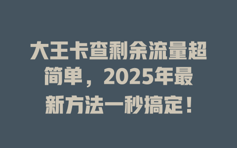 大王卡查剩余流量超简单，2025年最新方法一秒搞定！