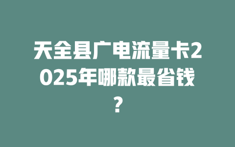 天全县广电流量卡2025年哪款最省钱？