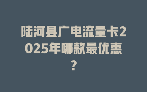 陆河县广电流量卡2025年哪款最优惠？