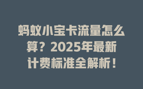 蚂蚁小宝卡流量怎么算？2025年最新计费标准全解析！