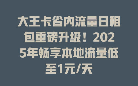 大王卡省内流量日租包重磅升级！2025年畅享本地流量低至1元/天