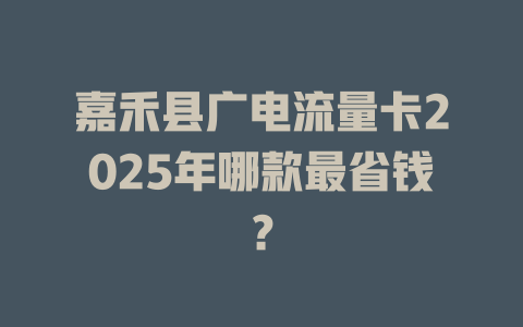 嘉禾县广电流量卡2025年哪款最省钱？