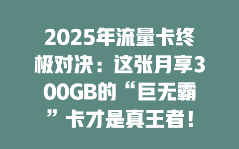 2025年流量卡终极对决：这张月享300GB的“巨无霸”卡才是真王者！