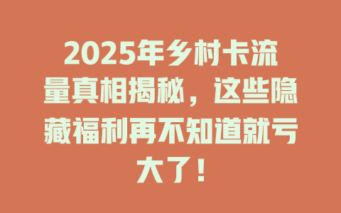 2025年乡村卡流量真相揭秘，这些隐藏福利再不知道就亏大了！