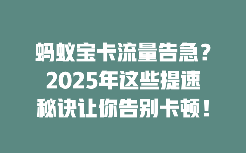 蚂蚁宝卡流量告急？2025年这些提速秘诀让你告别卡顿！