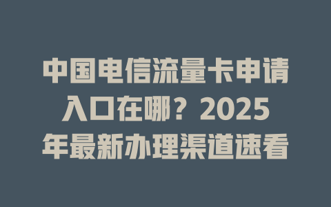 中国电信流量卡申请入口在哪？2025年最新办理渠道速看