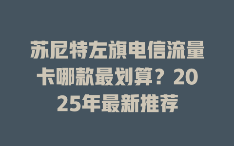 苏尼特左旗电信流量卡哪款最划算？2025年最新推荐