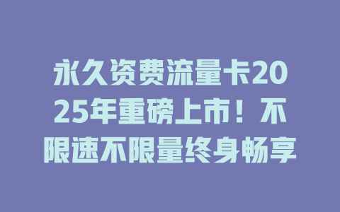 永久资费流量卡2025年重磅上市！不限速不限量终身畅享