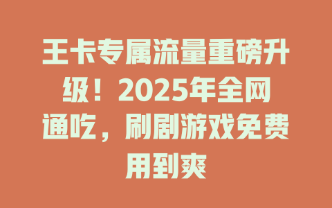 王卡专属流量重磅升级！2025年全网通吃，刷剧游戏免费用到爽