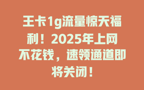 王卡1g流量惊天福利！2025年上网不花钱，速领通道即将关闭！