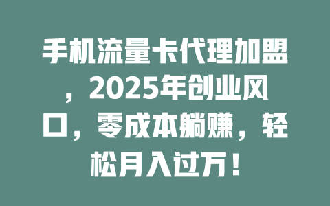 手机流量卡代理加盟，2025年创业风口，零成本躺赚，轻松月入过万！