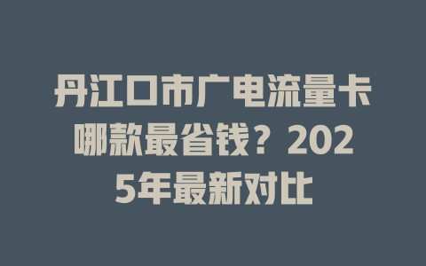 丹江口市广电流量卡哪款最省钱？2025年最新对比