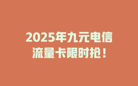 2025年九元电信流量卡限时抢！