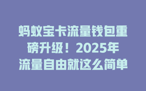 蚂蚁宝卡流量钱包重磅升级！2025年流量自由就这么简单