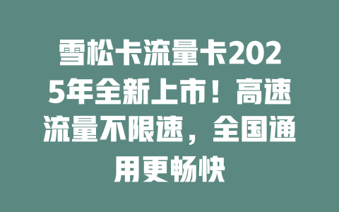 雪松卡流量卡2025年全新上市！高速流量不限速，全国通用更畅快