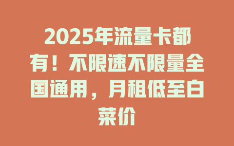 2025年流量卡都有！不限速不限量全国通用，月租低至白菜价
