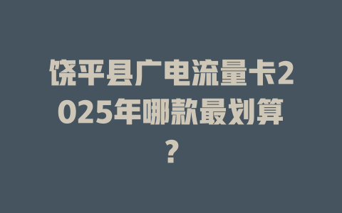 饶平县广电流量卡2025年哪款最划算？