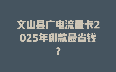 文山县广电流量卡2025年哪款最省钱？