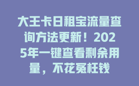 大王卡日租宝流量查询方法更新！2025年一键查看剩余用量，不花冤枉钱