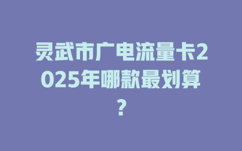 灵武市广电流量卡2025年哪款最划算？