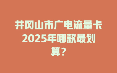 井冈山市广电流量卡2025年哪款最划算？