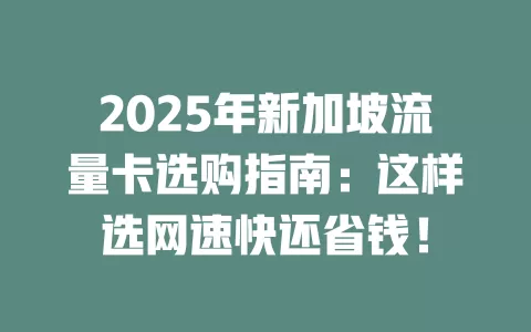2025年新加坡流量卡选购指南：这样选网速快还省钱！