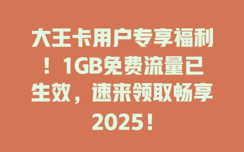 大王卡用户专享福利！1GB免费流量已生效，速来领取畅享2025！