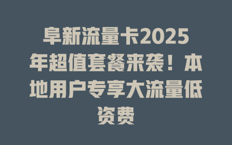 阜新流量卡2025年超值套餐来袭！本地用户专享大流量低资费