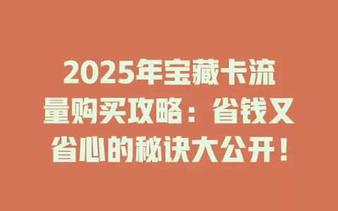 2025年宝藏卡流量购买攻略：省钱又省心的秘诀大公开！
