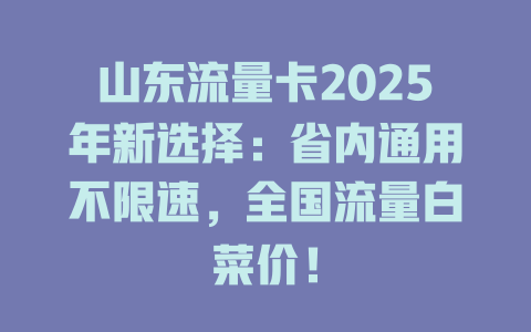 山东流量卡2025年新选择：省内通用不限速，全国流量白菜价！