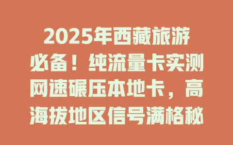 2025年西藏旅游必备！纯流量卡实测网速碾压本地卡，高海拔地区信号满格秘诀公开