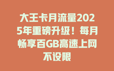大王卡月流量2025年重磅升级！每月畅享百GB高速上网不设限