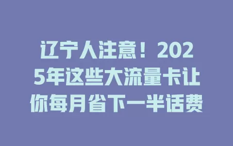 辽宁人注意！2025年这些大流量卡让你每月省下一半话费