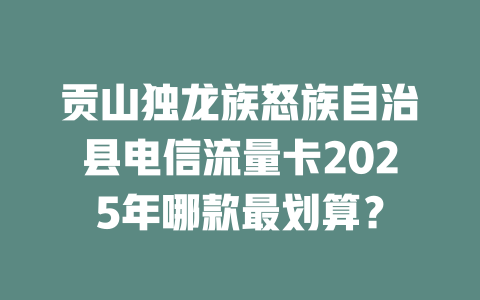 贡山独龙族怒族自治县电信流量卡2025年哪款最划算？