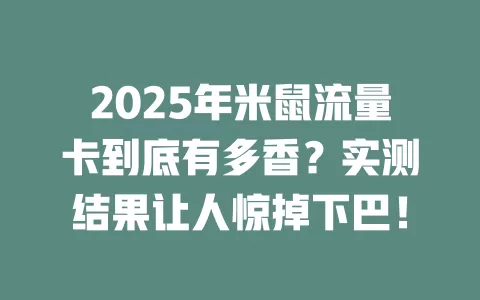 2025年米鼠流量卡到底有多香？实测结果让人惊掉下巴！