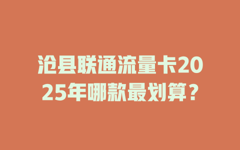 沧县联通流量卡2025年哪款最划算？