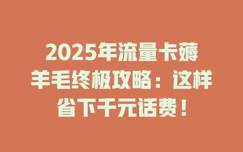 2025年流量卡薅羊毛终极攻略：这样省下千元话费！