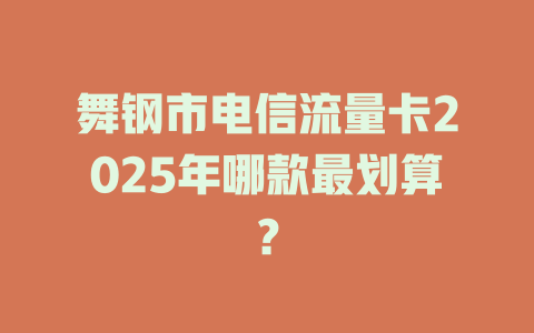 舞钢市电信流量卡2025年哪款最划算？