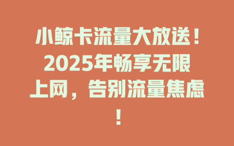 小鲸卡流量大放送！2025年畅享无限上网，告别流量焦虑！