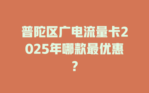 普陀区广电流量卡2025年哪款最优惠？