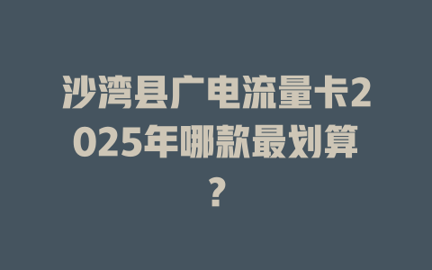 沙湾县广电流量卡2025年哪款最划算？