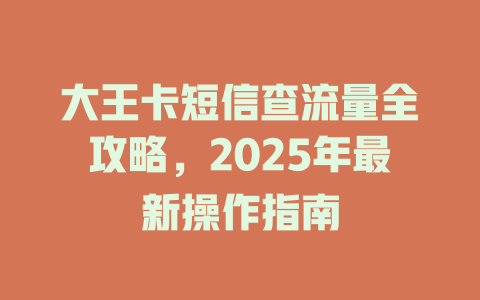 大王卡短信查流量全攻略，2025年最新操作指南