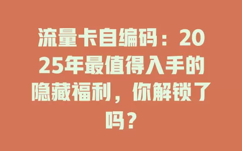 流量卡自编码：2025年最值得入手的隐藏福利，你解锁了吗？