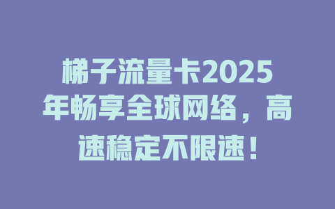 梯子流量卡2025年畅享全球网络，高速稳定不限速！