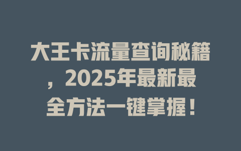 大王卡流量查询秘籍，2025年最新最全方法一键掌握！